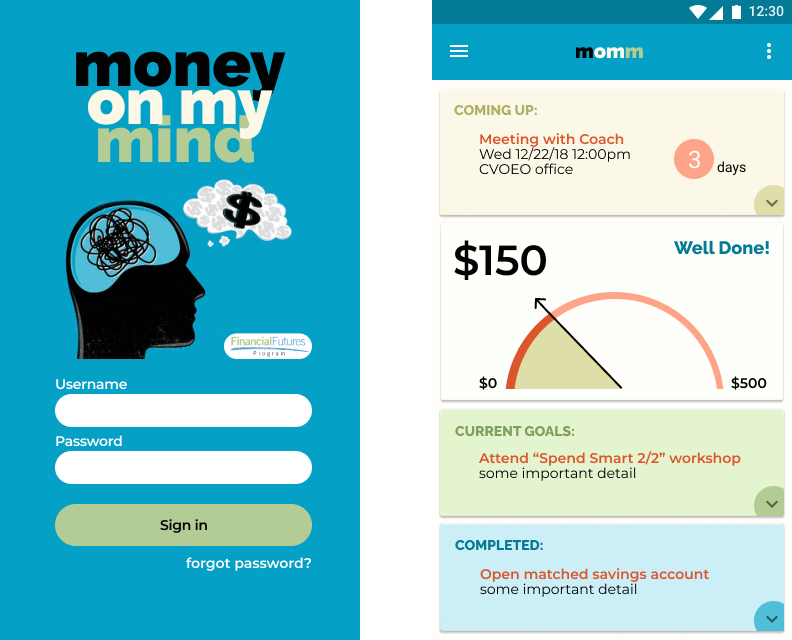 Money on my Mind dashboard design